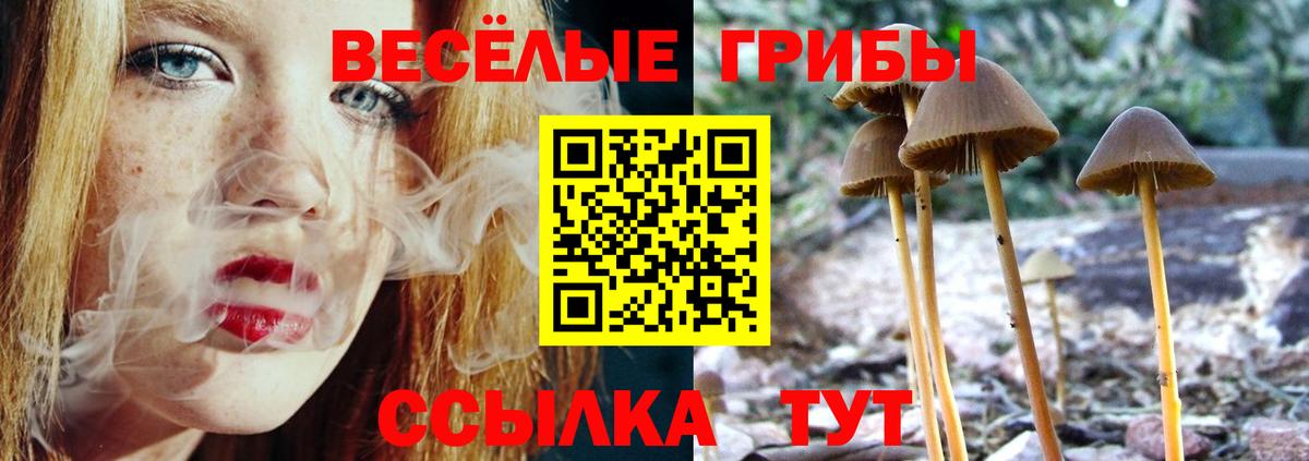 Галлюциногенные грибы MAGIC MUSHROOMS  Галлюциногенные грибы Cubensis  Алапаевск  Вход с VPN 